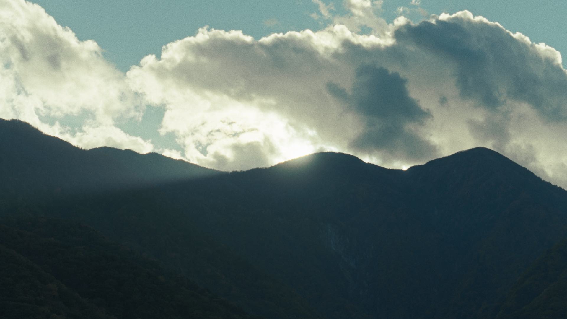 0530_suntory_hakushu_120_cutdata_3